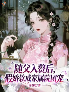 宁软软宁圆圆小说随父入赘后，假娇软成家属院团宠免费阅读