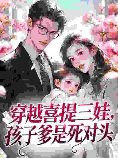 精品小说穿越喜提三娃，孩子爹是死对头全文目录畅读