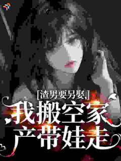 渣男要另娶，我搬空家产带娃走无广告阅读 宋枝枝傅辰阅免费在线阅读