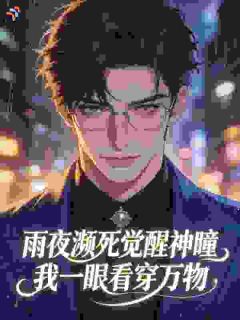 优质新书雨夜濒死觉醒神瞳，我一眼看穿万物最新章节小说全文阅读