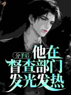 (精品)分手后，他在督查部门发光发热小说