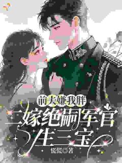 免费完结小说前夫嫌我胖，二嫁绝嗣军官生三宝乔时意霍靳野无弹窗免费阅读