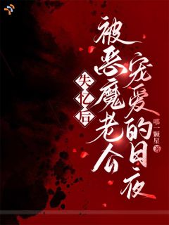 失忆后，被恶魔老公宠爱的日夜完整版-季念陆庭序在线全文阅读