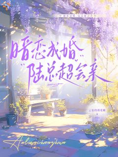 暗恋成婚，陆总超会亲沈慕画陆朝漾小说全文章节阅读