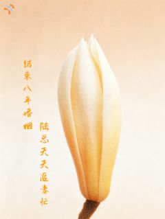 抖音爆款离婚证摸着发烫，我才知道弄丢了她陆竟衡徐慢无广告阅读-暗夜阅读网