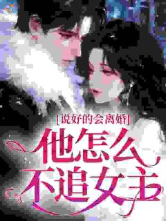 书荒必备说好的会离婚，他怎么不追女主？全文章节阅读