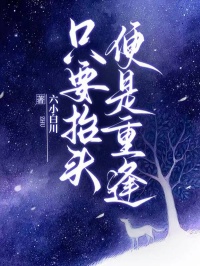 只要抬头，便是重逢大结局阅读 沈知珩许之念小说在线章节