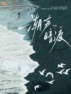 潮声暗渡完整版-陈允姝许清砚在线全文阅读