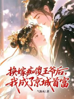 换嫁痴傻王爷后，我成了京城首富精彩小说-换嫁痴傻王爷后，我成了京城首富目录阅读