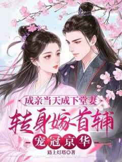 成亲当天成下堂妻，转身嫁首辅宠冠京华戚晚意檀叙言小说全文阅读