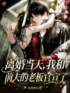 珩欣欣写的小说离婚当天，我和前夫的老板官宣了在线阅读