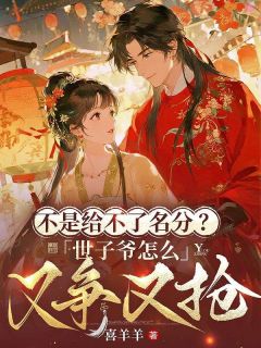 不是给不了名分？世子爷怎么又争又抢免费小说作者喜羊羊全文阅读