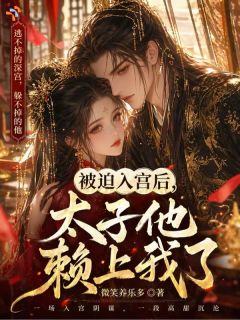 被迫入宫后,太子他赖上我了大结局阅读 沈念安萧珩小说在线章节
