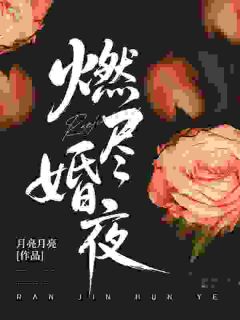 燃尽婚夜by月亮月亮小说完结版在线阅读