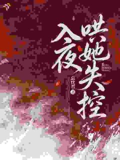 叶辞陆沉舟全本章节在线阅读大结局