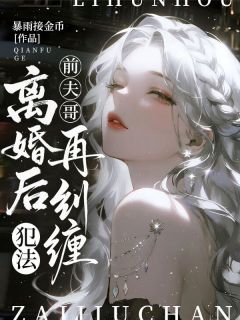 良心推荐前夫哥，离婚后再纠缠，犯法小说试读