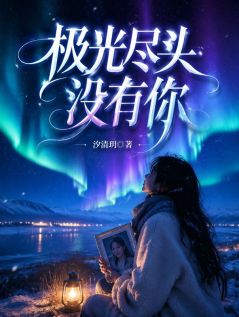 主人公陆时衍林鹿在线免费试读极光尽头没有你最新章节列表