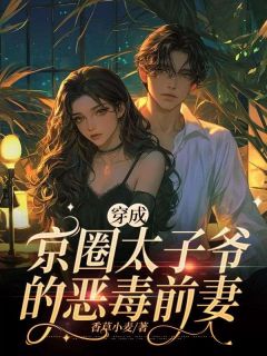 穿成京圈太子爷的恶毒前妻小说在线阅读，主角苏锦裴以宸精彩段落最新篇