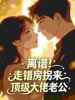 离谱！走错房拐来顶级大佬老公林念汐霍京墨全章节完结版在线阅读