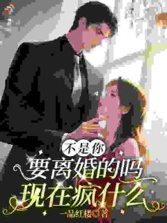 不是你要离婚的吗，现在疯什么邱意晚盛归鸿无广告在线阅读
