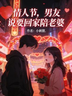 独家情人节，男友说要回家陪老婆全本大结局小说阅读