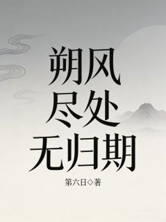 陆靳辰温思然全集小说_朔风尽处无归期完结版阅读