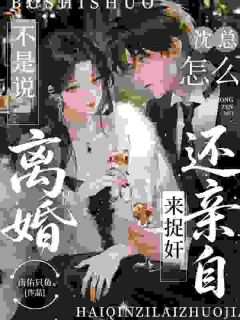 不是说离婚,沈总怎么还亲自来捉奸(新书)小说_裴晚沈厉珩阅读
