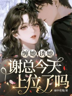 缠她,诱她,谢总今天上位了吗?小说的书名是什么