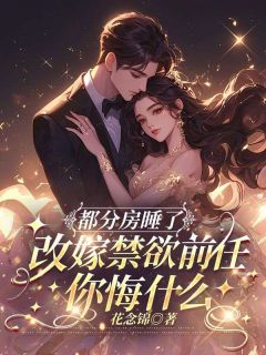 【都分房睡了，改嫁禁欲前任你悔什么】主角(沈初意顾远舟)在线阅读-暗夜阅读网