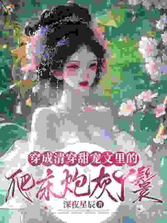 穿成清穿甜宠文里的爬床炮灰丫鬟夏云瑶胤禛免费全章节目录阅读