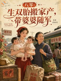 小说八零：生双胎搬家产，带婆婆随军主角为沈晚棠陆沉舟免费阅读