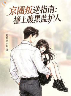 京圈叛逆指南:撞上腹黑监护人(康乐何廷文)全文章节在线阅读