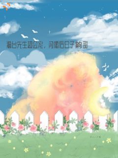 澹台先生超会宠,闪婚后日子齁甜小说最后结局,澹台建民南雨百度贴吧小说全文免费