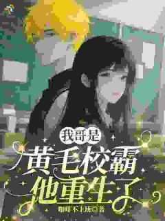 【抖音】我哥是黄毛校霸,他重生了全文阅读