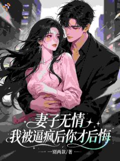 【热文】妻子无情，我被逼疯后你才后悔主角刘牧林知音小说全集免费阅读