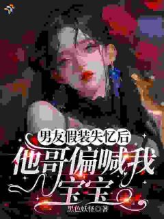 抖音男友假装失忆后，他哥偏喊我宝宝txt小说阅读