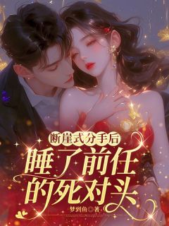 强烈推荐断崖式分手后,睡了前任的死对头南夕周景泽在线阅读