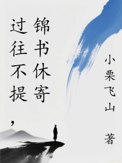 抖音小说过往不提,锦书休寄主角贺经年苏云铮全文小说免费阅读