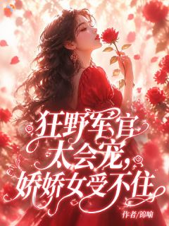 狂野军官太会宠，娇娇女受不住小说全集(许念萧沉)无弹窗广告阅读