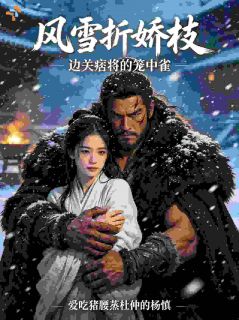 抖音爆款小说风雪折娇枝:边关痞将的笼中雀沈云归卫铮免费txt全文阅读