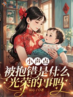小声点，被抱错是什么光荣的事吗程小点程宝珠全章节目录免费阅读
