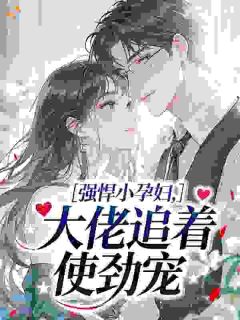 好文热推小说强悍小孕妇,大佬追着使劲宠主角宋婉成顾景辞全文在线阅读