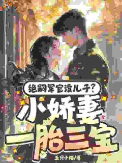 绝嗣长官没儿子?小娇妻一胎三宝小说(完本)-陆瑾欢贺从南无错版阅读