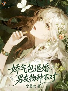 让你退婚，没让你找神明当男友小说全章节目录阅读BY兮茵欣完结版阅读