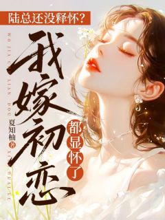 陆总还没释怀?我嫁初恋都显怀了(岁禾陆怀川)最新章节试读