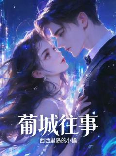何嘉仪谢柏安是哪本小说主角 葡城往事免费全章节阅读