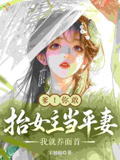 （全本）爹！你敢抬女主当平妻我就养面首主角萧云绾殷九渊全文目录畅读