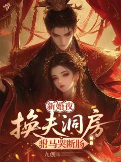 老书虫书荒推荐新婚夜，换夫洞房，驸马哭断肠txt小说阅读