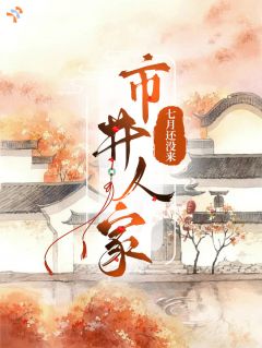 精品小说市井人家全文目录畅读
