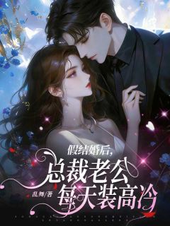 假结婚后，总裁老公每天装高冷(夏小星秦骏)全文完整版阅读